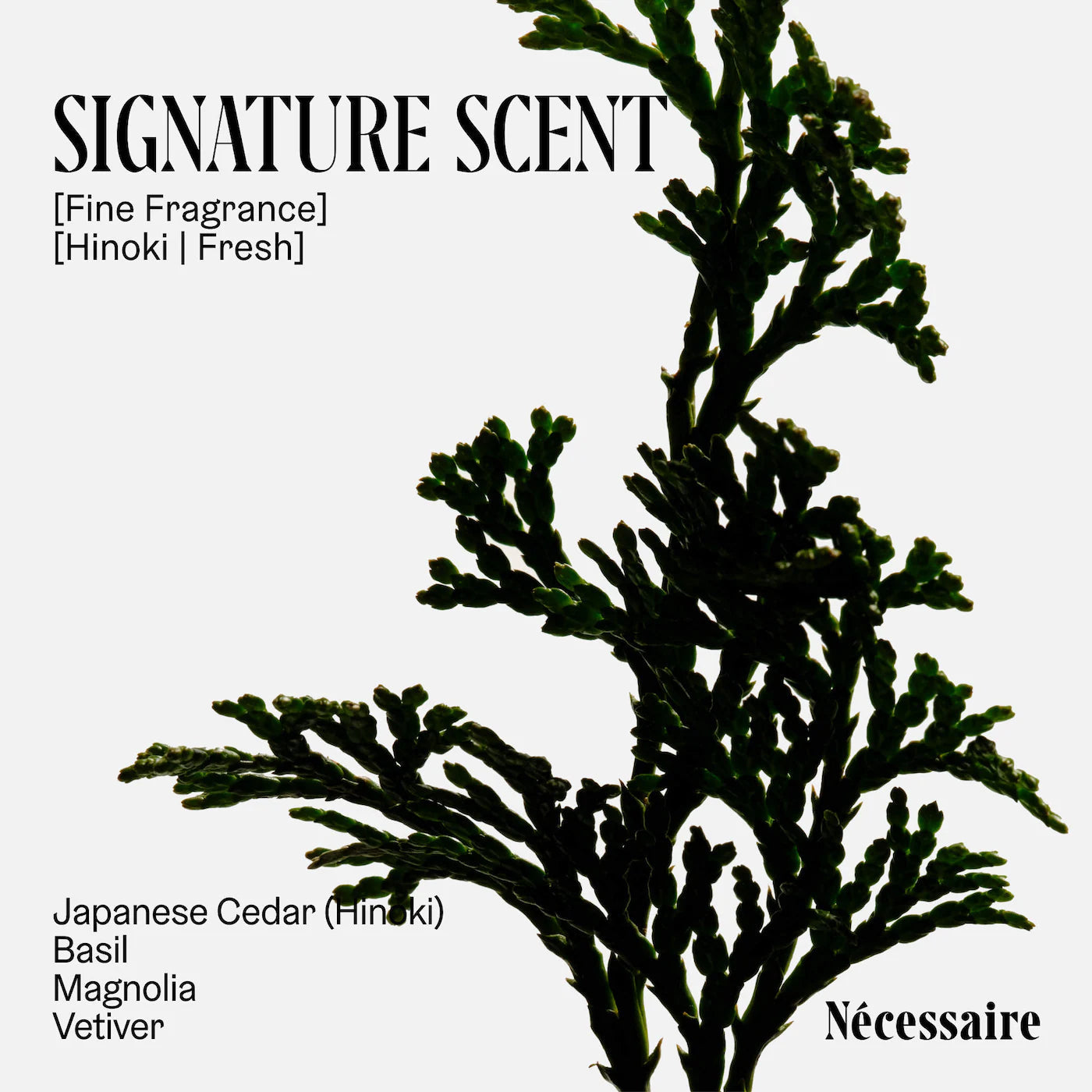 Nécessaire The Deodorant- Hinoki Nécessaire