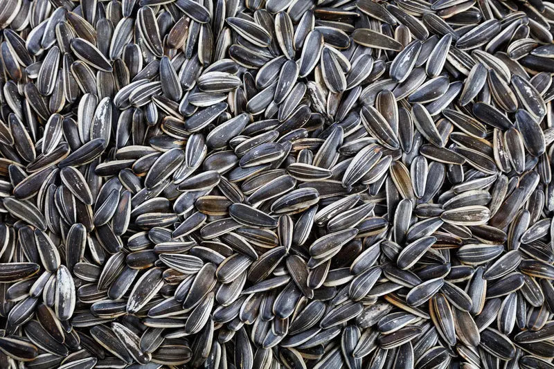 Almora Botanica Radiance Day Face Oil Almora Botanica